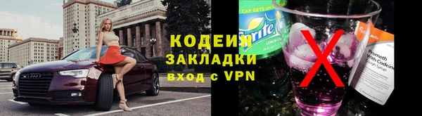 прущий лед Алзамай