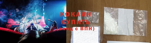 прущий лед Алзамай