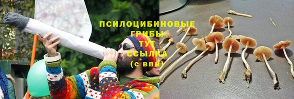 прущий лед Алзамай